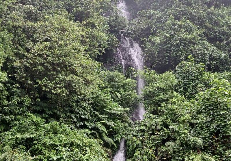 Cascade au milieu d’une végétation tropicale dense