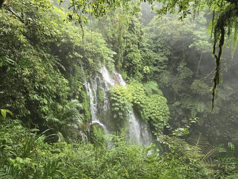 Cascade dans la forêt tropicale de Munduk