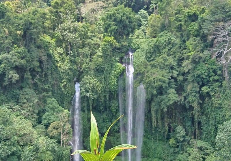 Deux cascades jumelles tombant dans une vallée tropicale