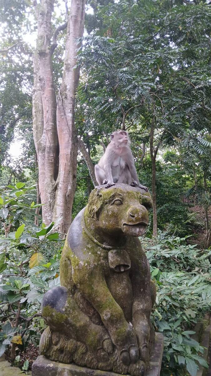 Statue moussue et macaque dans la forêt des singes d’Ubud